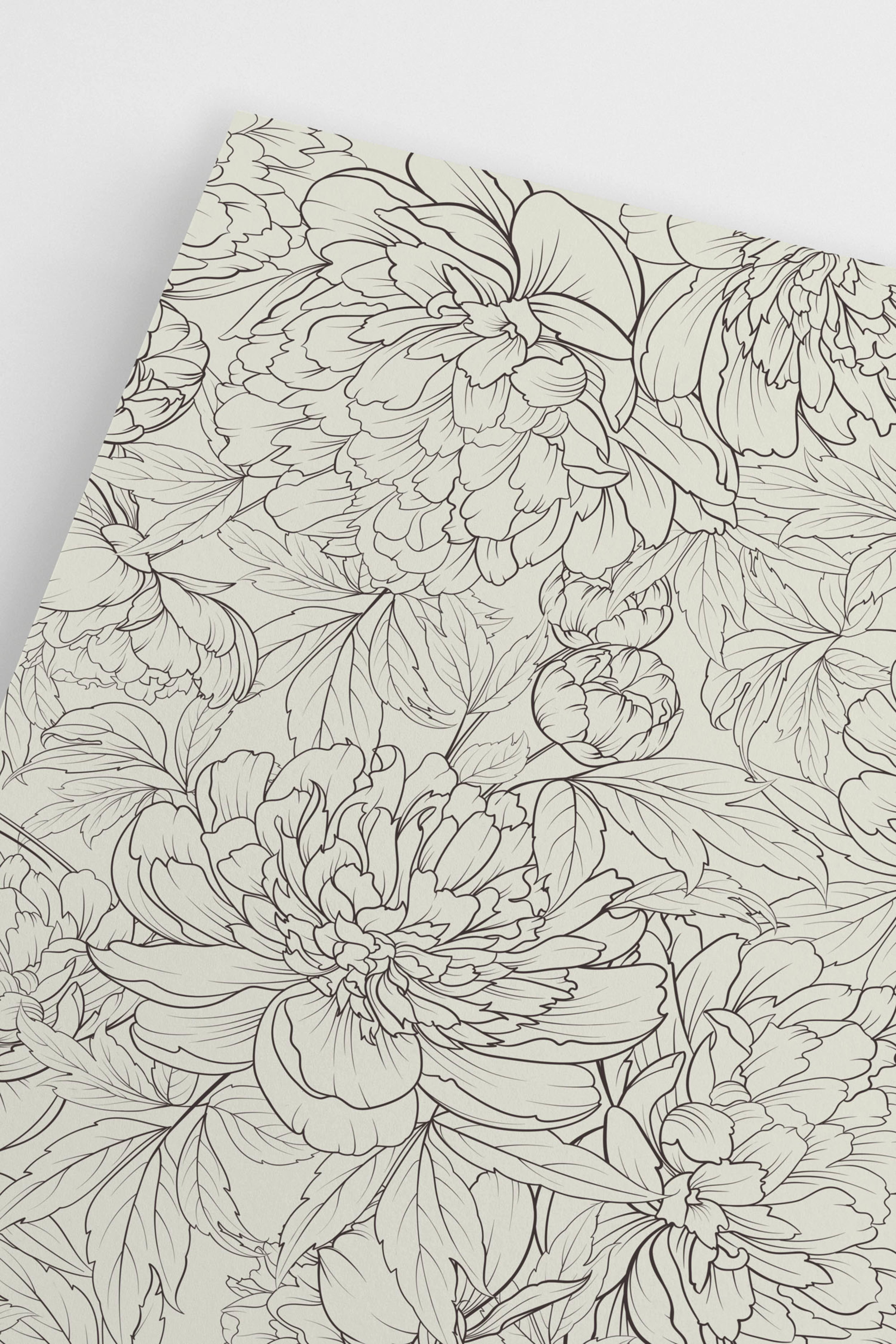 Постер peony sketch